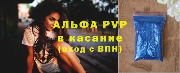 PSILOCYBIN Липки