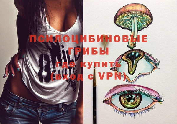PSILOCYBIN Липки